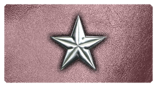 DSC700 430 SL OR Star Silver Orchid